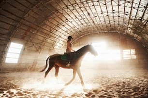 Majestic image of horse horse silhouette with rider on sunset background. The girl jockey on the back of a stallion rides in a hangar on a farm and jumps over the crossbar. The concept of riding.