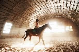 Imagen majestuosa de la silueta del caballo del caballo con el jinete en el fondo de la puesta del sol. La niña jinete a lomos de un semental cabalga en un hangar en una granja y salta por encima del travesaño. El concepto de equitación.