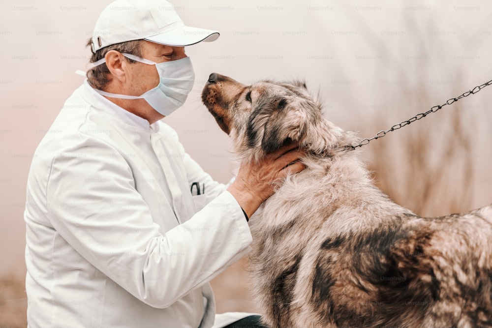 Caucasian senior veterinarian checking on dog on leash. Rural exterior.