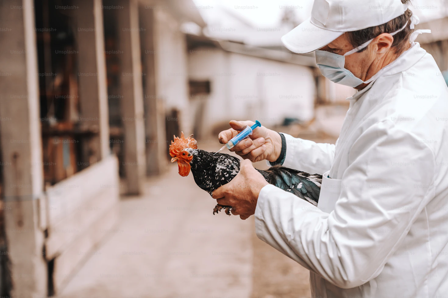 Farm workers