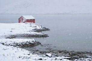 Tradizionale casa rossa rorbu sulla riva del fiordo con forti nevicate in inverno. Isole Lofoten, Norvegia