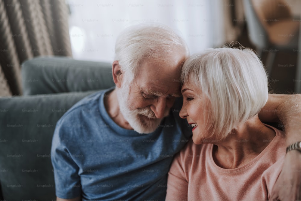 Love and tendance in any age. Close up portrait of happy smiling gray haired man and woman touching their foreheads with tender while enjoying time together on sofa