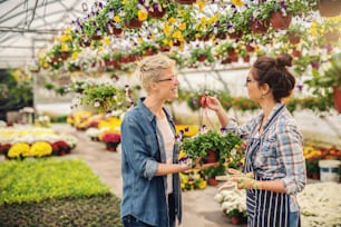 Smiling Caucasian florist selling flowers to a blonde woman. Greenhouse interior.