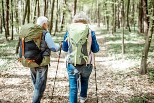 Senior couple hiking with backpacks and trekking sticks in the forest, back view. Concept of an active lifestyle on retirement