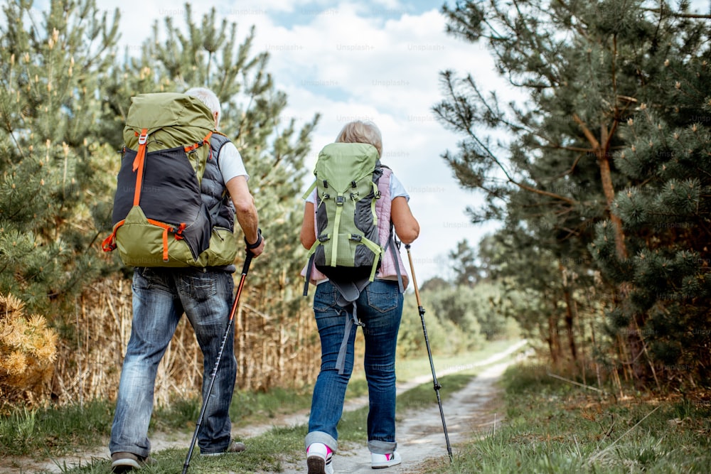 Seniorenpaar wandert mit Rucksäcken unterwegs im jungen Kiefernwald, Rückansicht