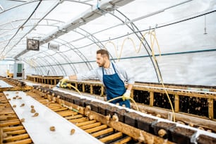 잘 생긴 노동자는 물총으로 선반을 씻고, 농장의 온실에서 달팽이를 돌보고, 복사 공간이 있는 광각보기