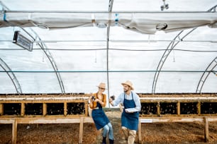 Two farmers examining snails growing process in the hothouse of the farm, wide angle view. Concept of farming snails for eating
