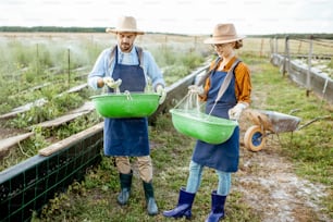 Gut gekleidete Bauern stehen auf dem Ackerland mit grünen Eimern zum Füttern von Schnecken auf einem Bauernhof im Freien. Konzept der Agrarwirtschaft und Landwirtschaft
