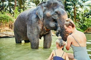 Mother and her little daughter standing in a river washing an elephant together at an animal sancturay in Thailand
