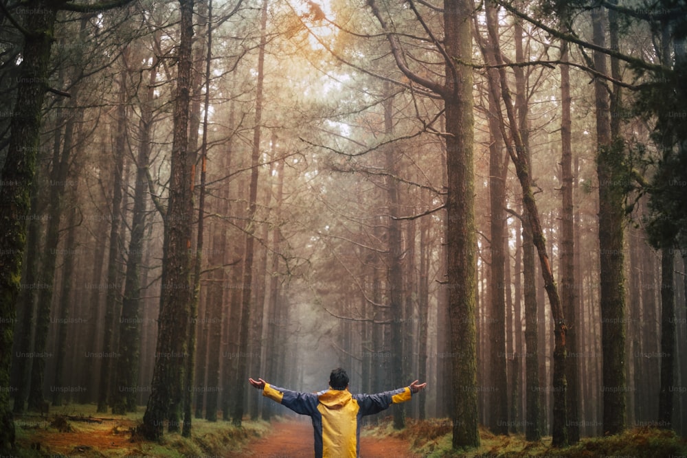 自由と冒険のコンセプト。高い木々の霧の森の真ん中に両手を広げて立っている男と野生 - outoorレジャーの人々。背景の活動と美しい木の風景