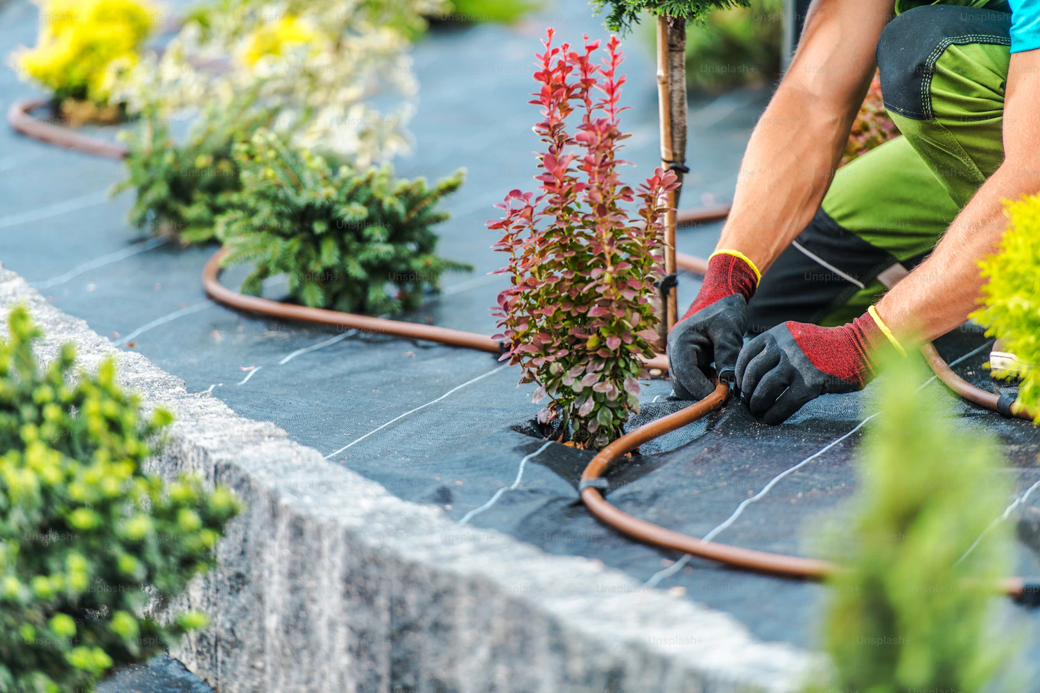Landscaping technician building a residential irrigation system