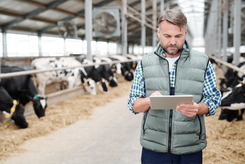 Mature confident head of large modern farmhouse with touchpad searching for new working equipment in the net