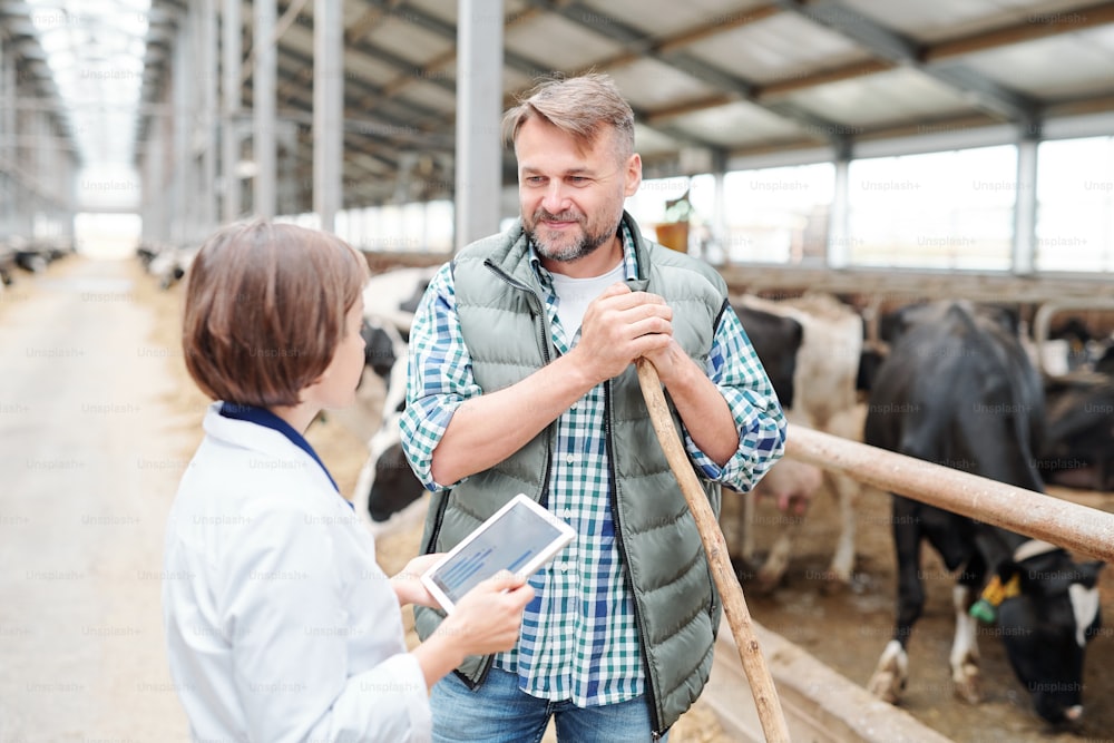 Granjero feliz con un tenedor de heno mirando a su colega con una tableta mientras discute cosas de trabajo dentro de una gran granja lechera