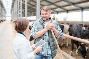 Happy farmer with hayfork looking at his colleague with tablet while discussing working stuff inside large dairy farm