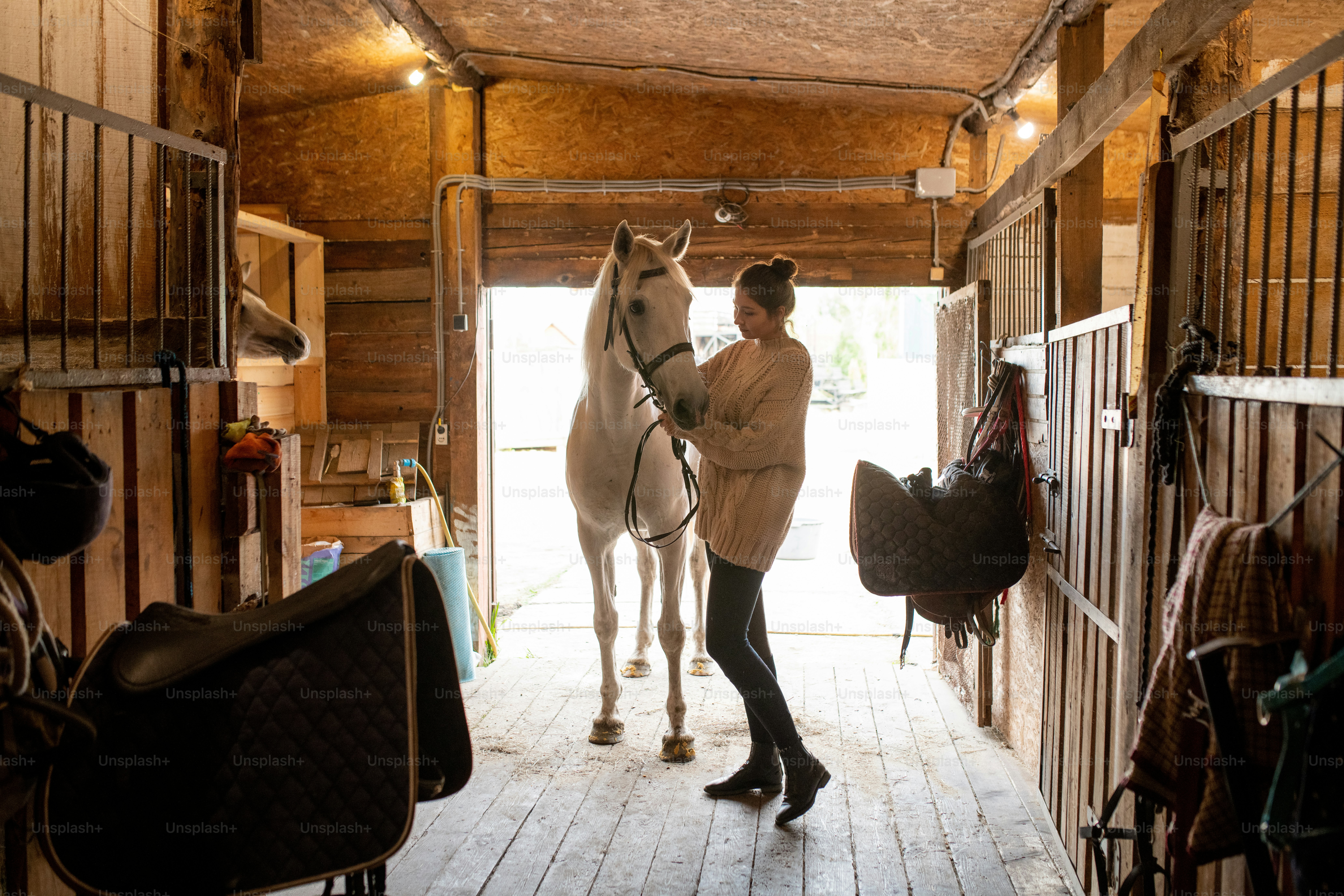 Mujer joven activa en ropa casual poniendo bridas en un caballo de carreras blanco mientras prepara al animal para el entrenamiento