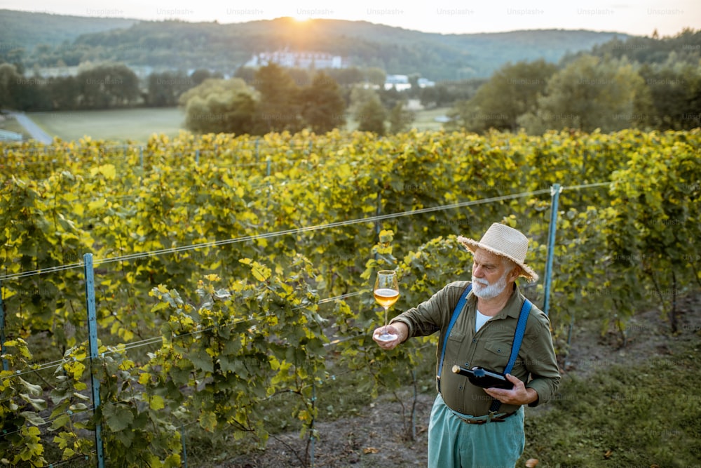 Senior winemaker tasting wine, while standing with wine glass and bottle on the vineyard, wide landscape view from above on a sunset
