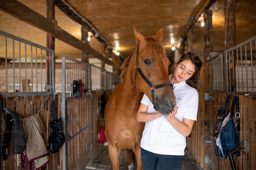 Young active woman in white shirt standing inside stable by brown purebred racehorse and touching her nose