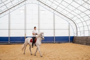 Young active woman sitting on back of horse while moving down sandy arena inside equestrian center