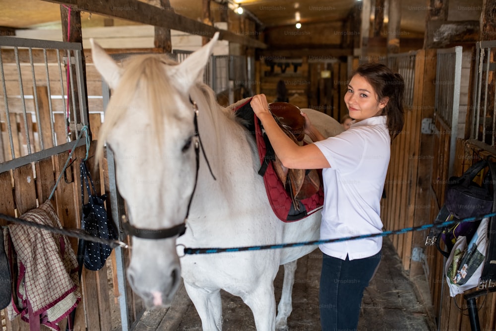 Young active woman putting saddle on back of white purebread racehorse while preparing for race or training