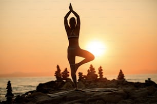 Rear view of woman meditating while being in tree pose on a rock by the sea at dusk. Copy space.