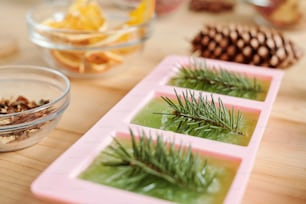 Handgemachte grüne Seife mit Nadelbaum in Silikonformen und Glaswaren mit aromatischen Inhaltsstoffen in der Nähe