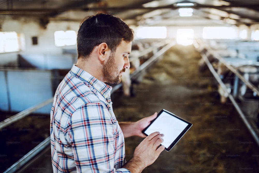 Handsome caucasian farmer in plaid shirt and jeans using tablet while standing in stable.