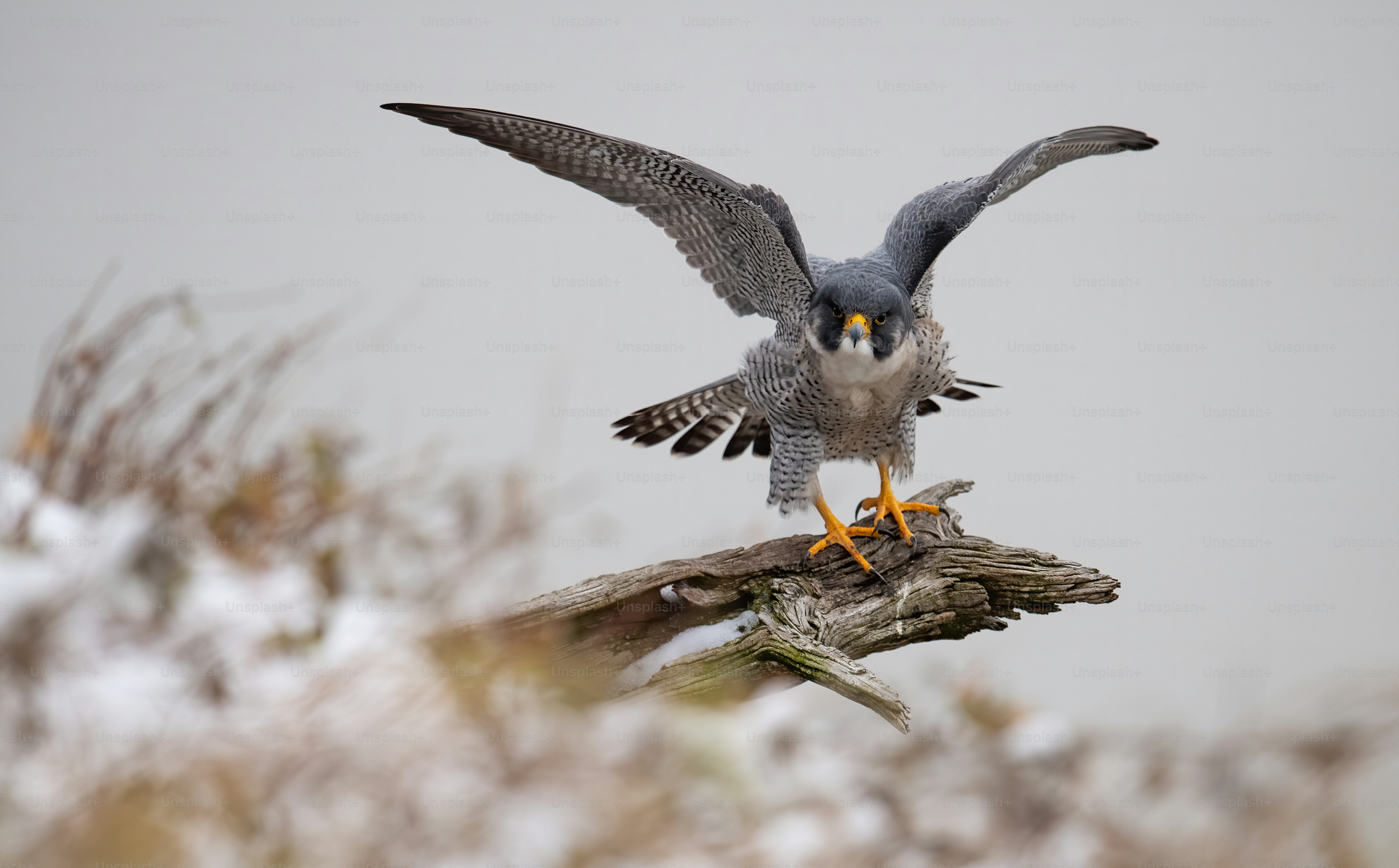 Jerseys Pictures | Download Free Images on Unsplash