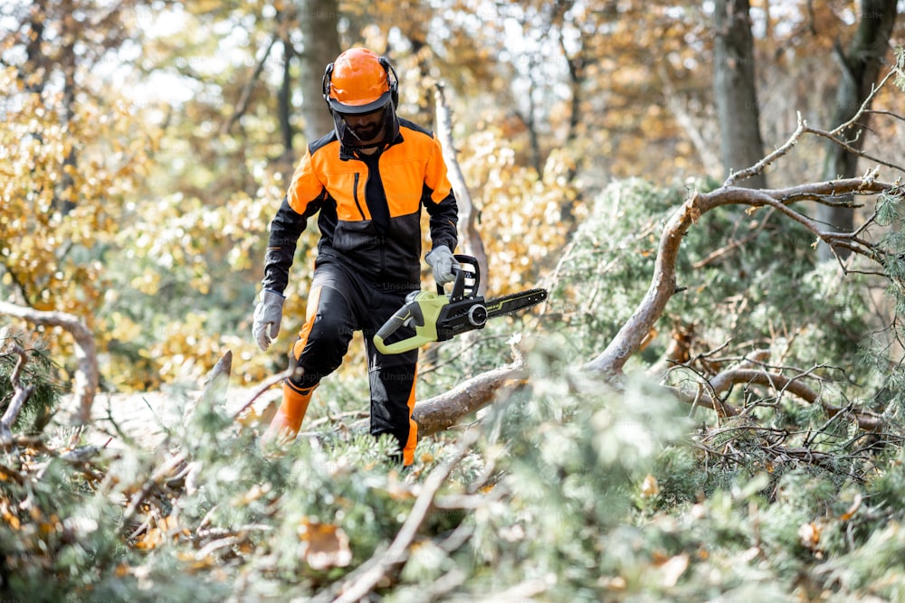 Holzfäller in schützender Arbeitskleidung sägt Äste mit einer Kettensäge von einem gefällten Baum im Kiefernwald. Konzept einer professionellen Protokollierung