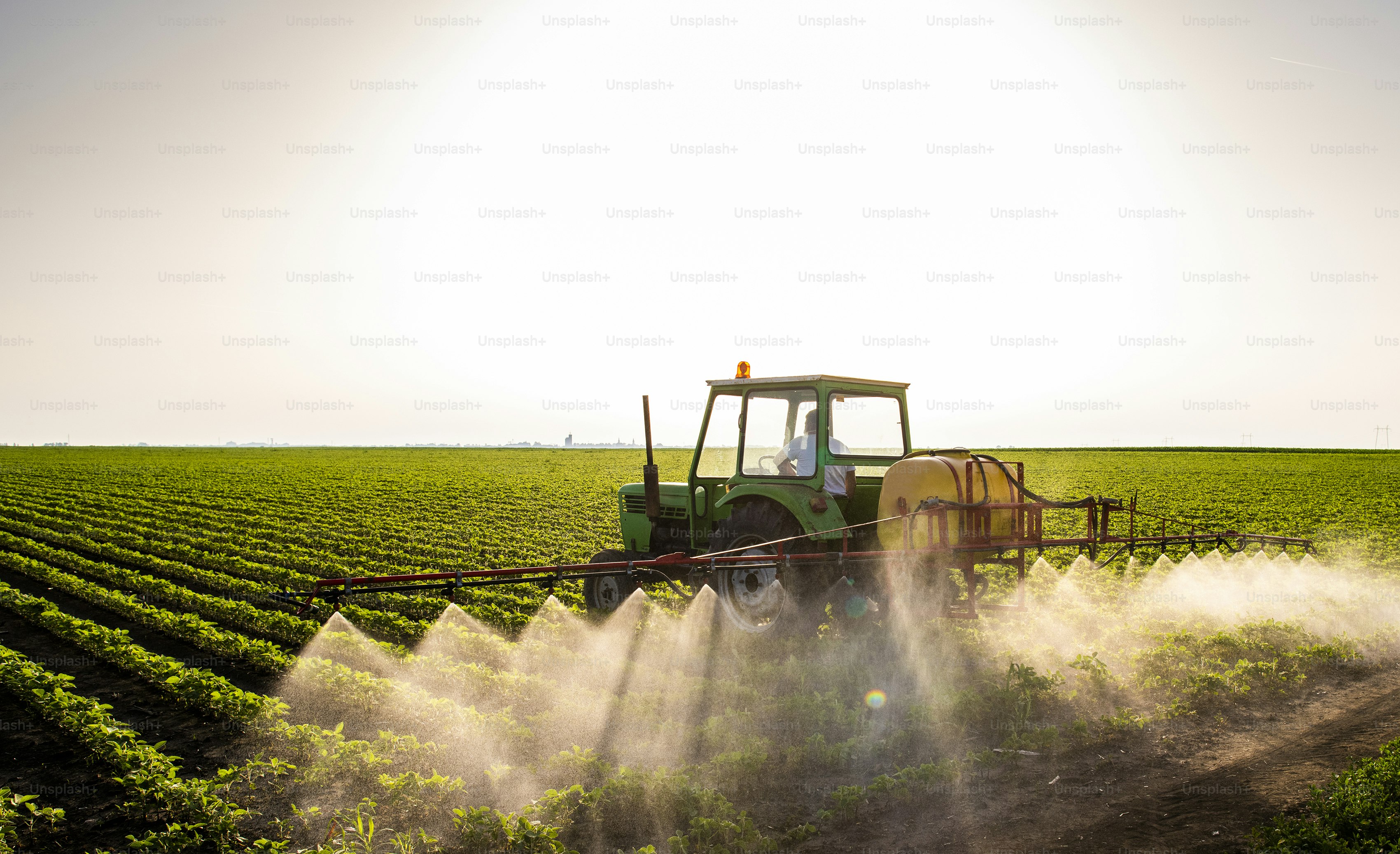 Tractor spraying pesticides on soy field  with sprayer at spring