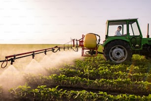 Tractor spraying pesticides on soy field  with sprayer at spring