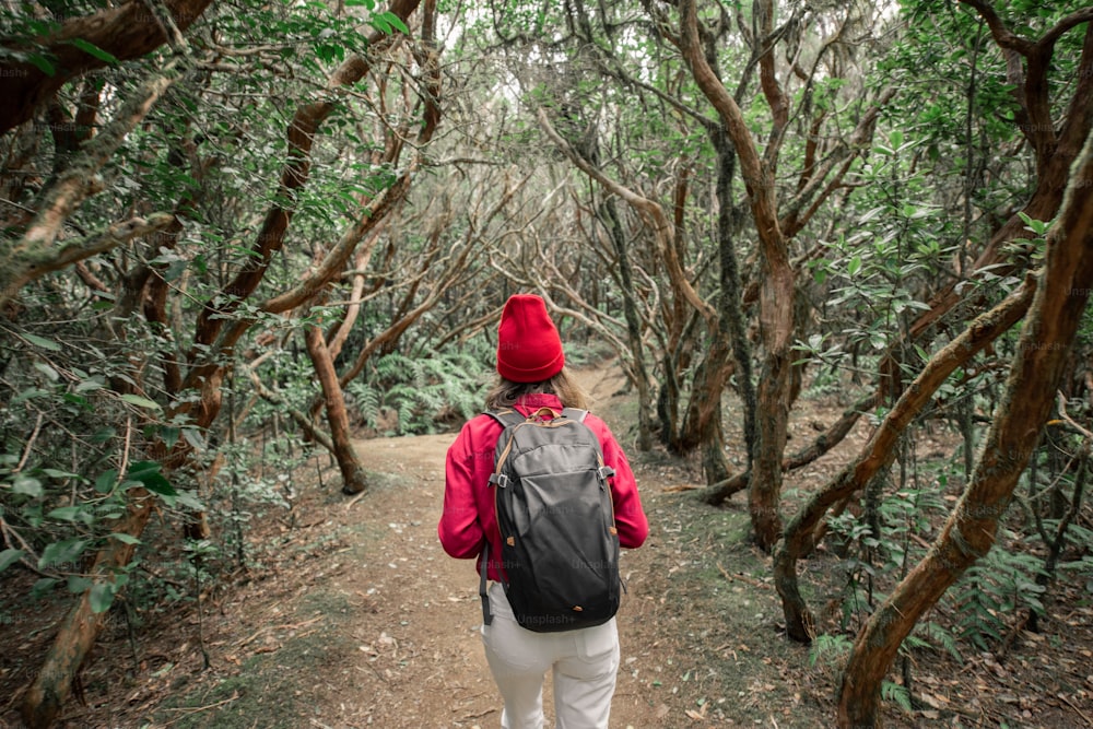 赤いシャツと帽子をカジュアルに身にまとい、美しい熱帯雨林でバックパックを背負ってハイキングする女性、スペインのテネリフェ島を旅する