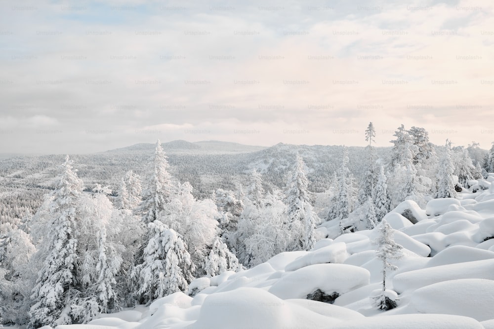 Winterlandschaft mit schneebedecktem Nadelwald und Bergen von Taganay, dem Ural, an einem verschneiten Tag