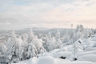 Winter landscape of coniferous forest covered with snow and mountains of Taganay, the Urals, on snowy day