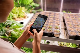 Jeune agricultrice mobile ou ouvrière de serre avec un smartphone prenant des photos de petits plants en croissance dans des pots
