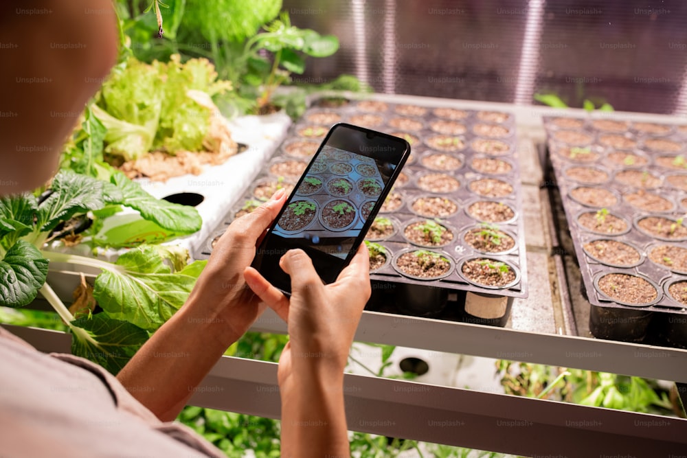 Giovane agricoltore mobile o lavoratore in serra con smartphone che scatta foto di piccole piantine in crescita in vaso