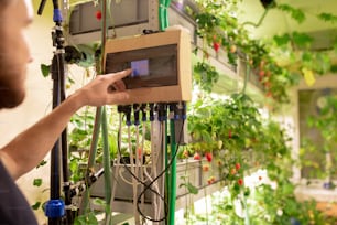Young greenhouse worker choosing optimal temperature for strawberry bushes while touching small display on control panel of automatic device