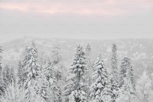 Winterlandschaft mit schneebedecktem Nadelwald und Bergen von Taganay, dem Ural, an einem verschneiten Tag