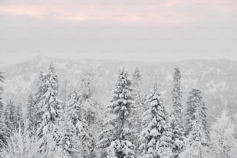 Paesaggio invernale della foresta di conifere coperta di neve e delle montagne di Taganay, gli Urali, in giornata nevosa