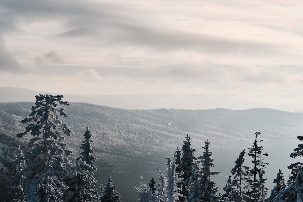 雪と雲に覆われたタガナイ山脈の冬の風景