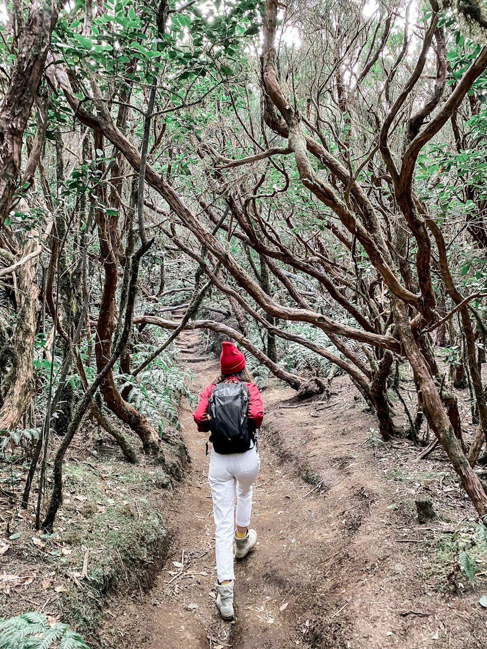 Frau wandert mit Rucksack im wunderschönen Regenwald, unterwegs auf Teneriffa, Spanien. Bild auf dem Handy gemacht