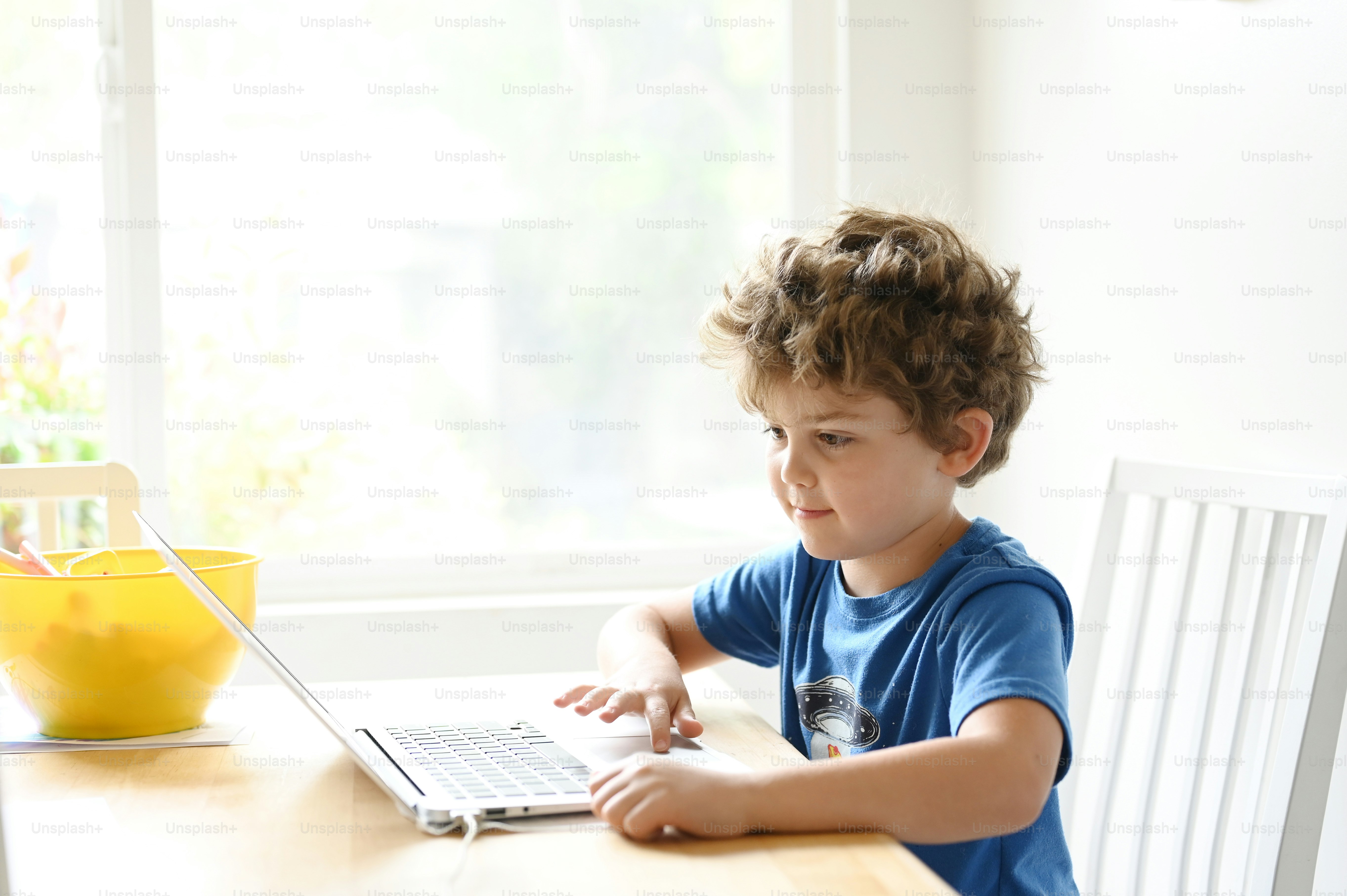 Pessoa estudando com notebook