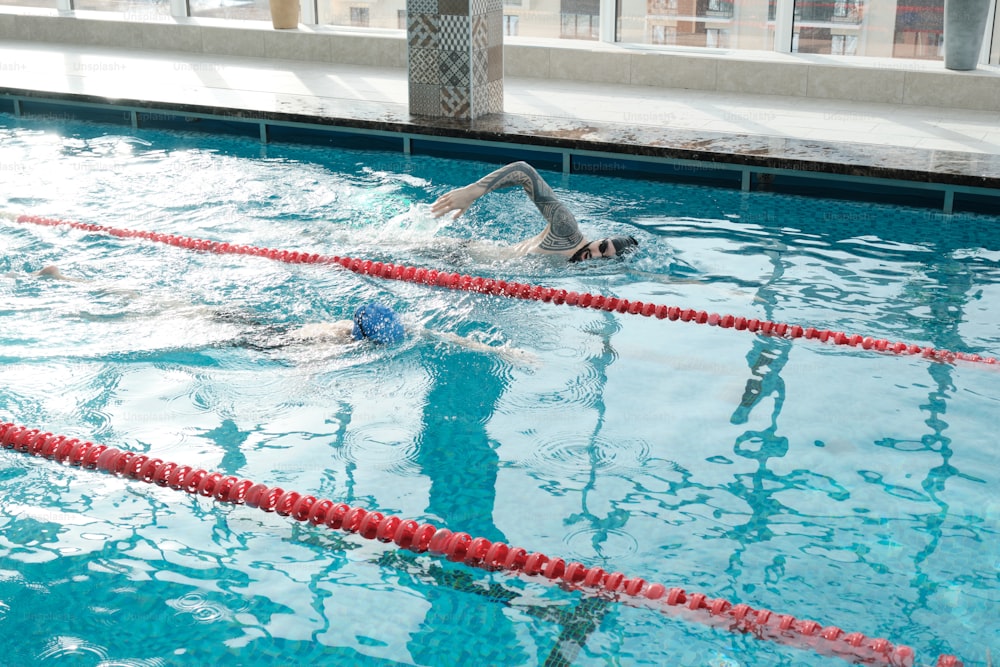 Nadadores compitiendo entre sí mientras entrenan juntos en la piscina