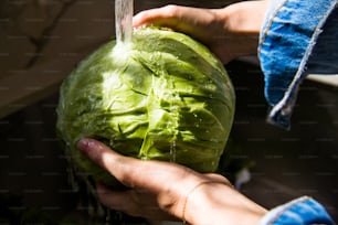 Woman washes cabbage from produce delivery