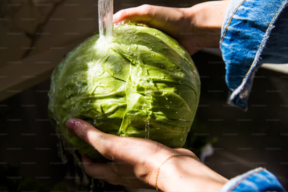 Woman washes cabbage from produce delivery