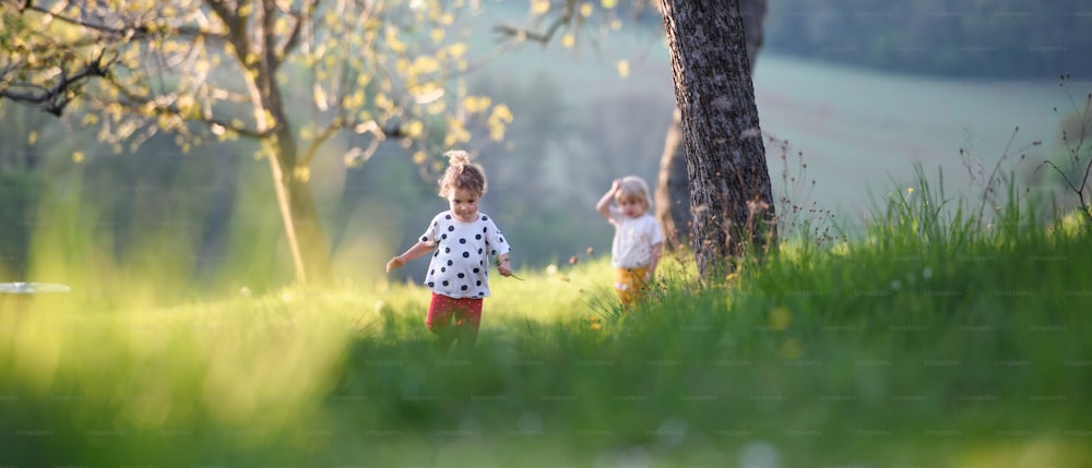 Front view of small children boy and girl playing outdoors in spring nature.