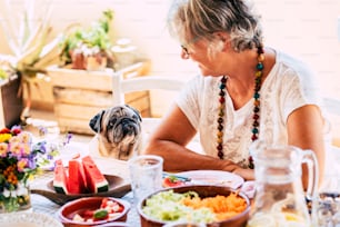 Concepto de amigos con humanos y animales como terapia de mascotas: perro viejo encantador de pug y mujer mayor en la mesa que busca en amistad