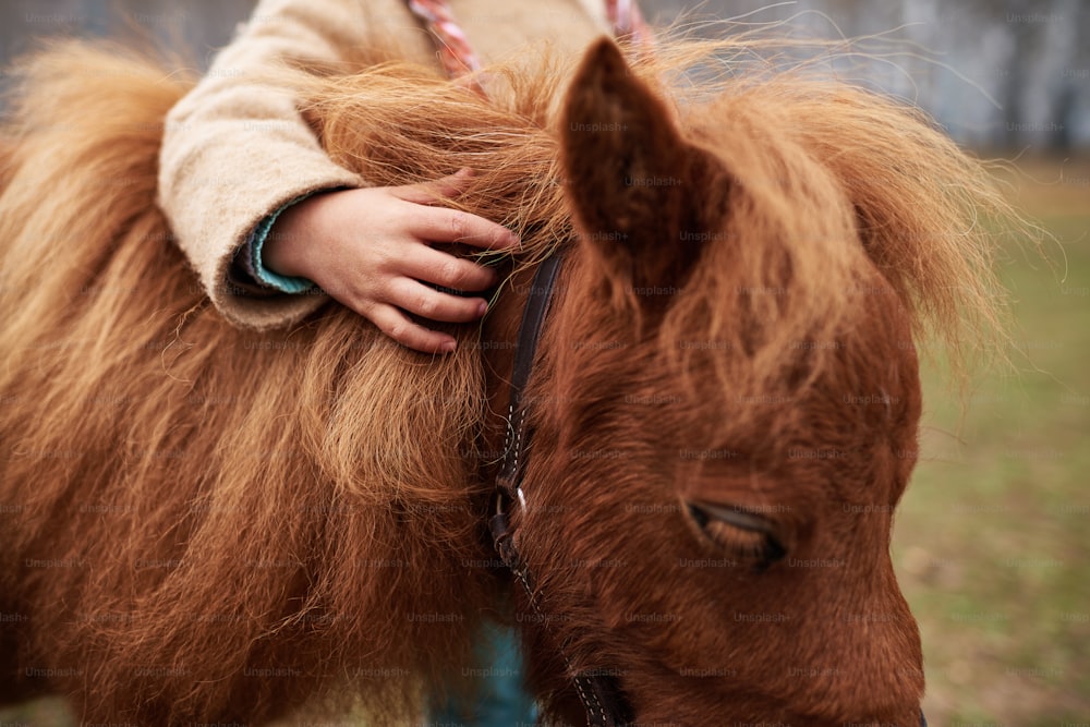 Nahaufnahme eines nicht erkennbaren Kindes, das sanft die niedliche kastanienbraune Ponymähne berührt