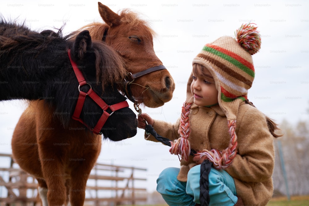 Little Caucasian girl getting animal-assisted therapy with tiny ponies on horse farm