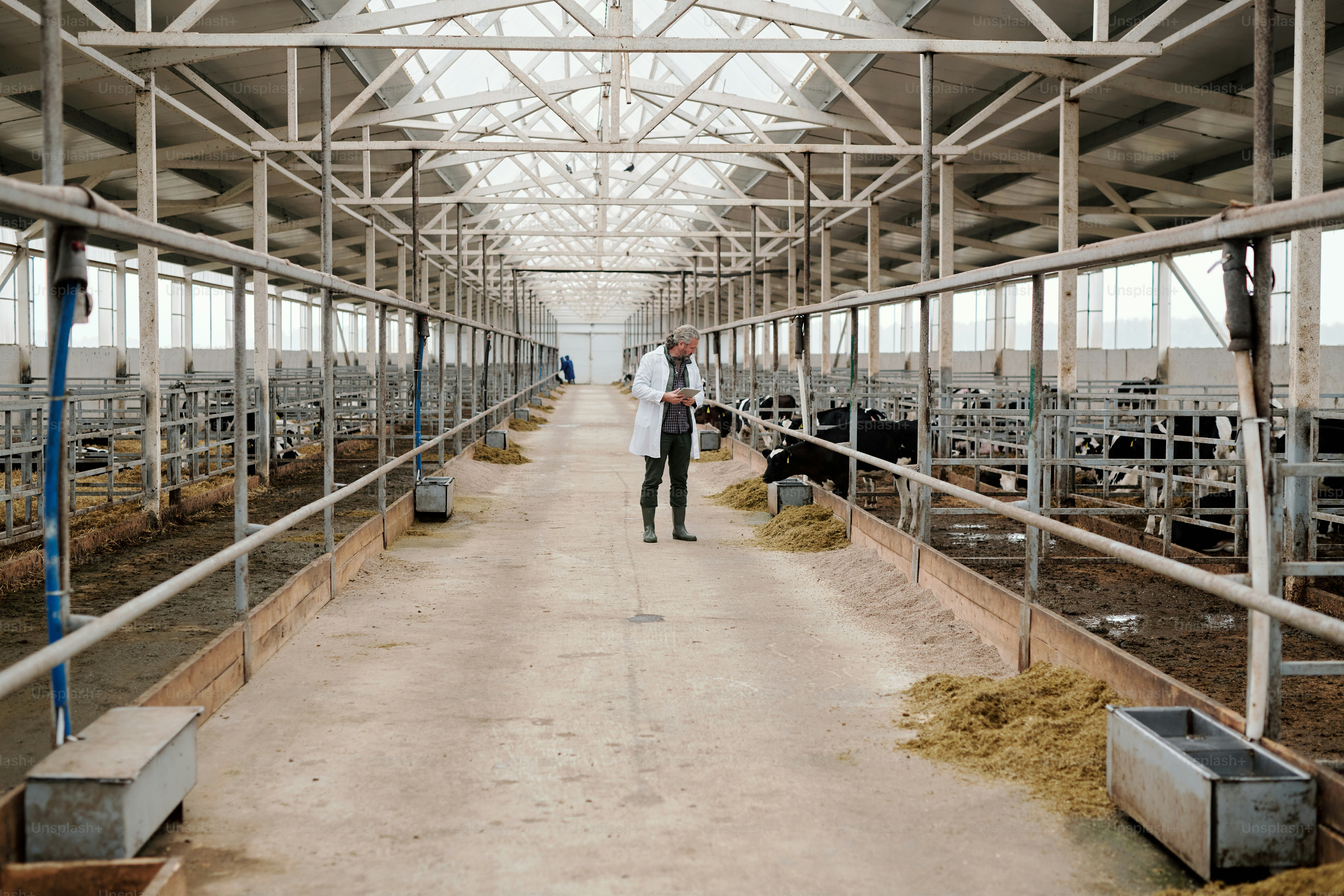 premium_photo-1664300395921-b0868f386745?ixid=M3wxMjA3fDB8MXxzZWFyY2h8MTd8fHRyaWZvbGElMjBmYXJtcyUyMGNiZHxlbnwwfHx8fDE3NDYzNDU5MTJ8MA\u0026ixlib=rb-4.0.3