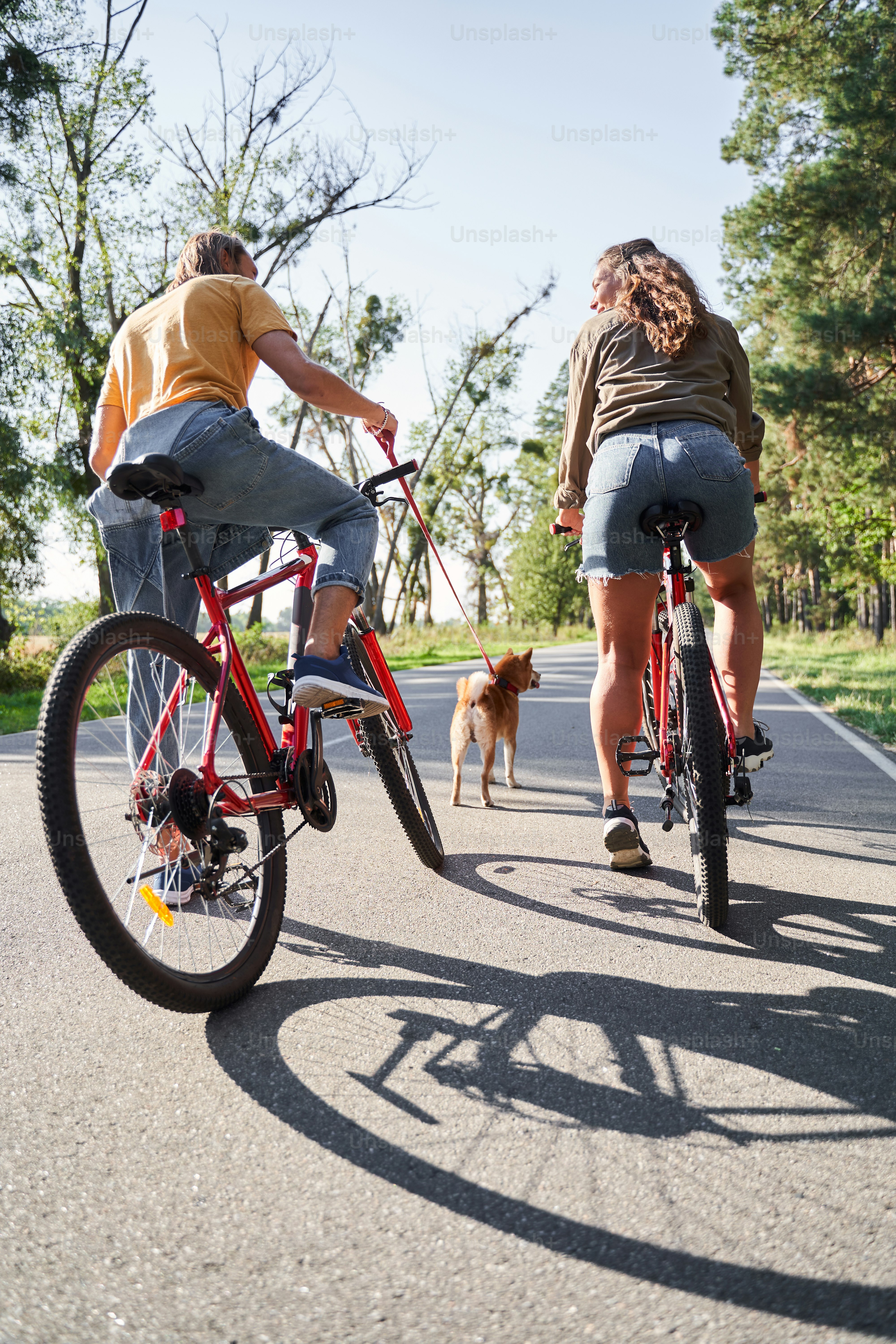 Young happy couple riding bicycles in the forest back to camera. Dog standing nearby. People, leisure and lifestyle concept